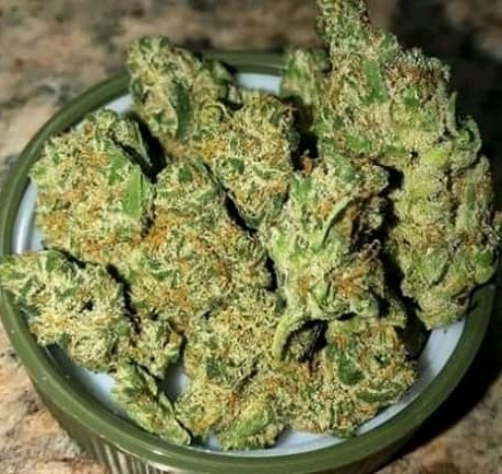 EXOTIC WEED.COM logo