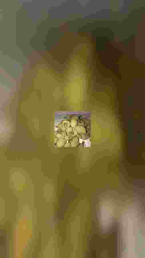 mobile.jpeg