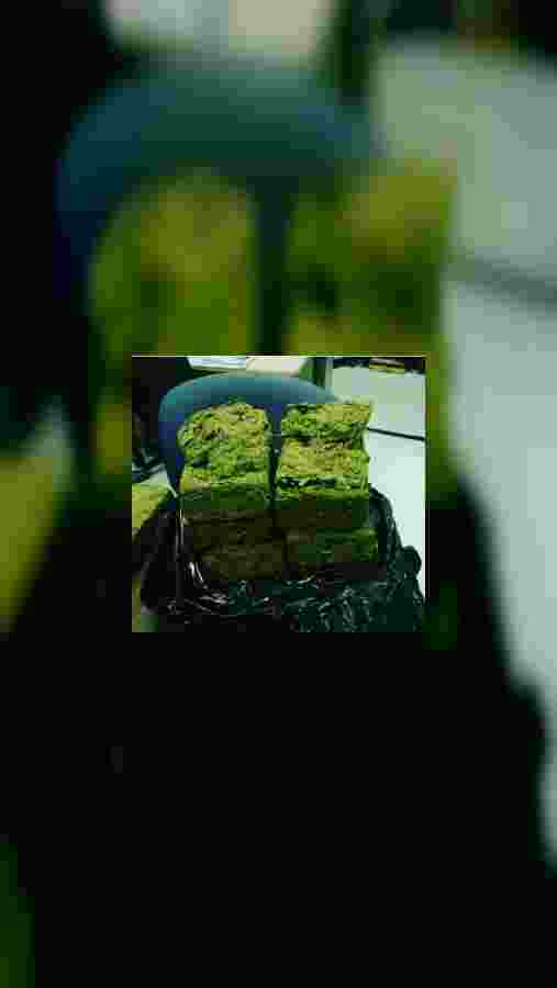 mobile.jpeg